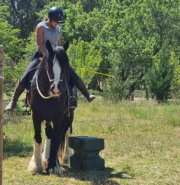 DEBOURRAGE | Travail du jeune cheval - image secondaire