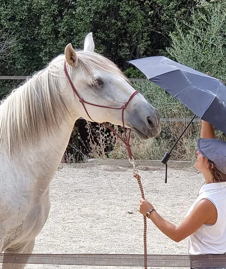 Coaching à pied