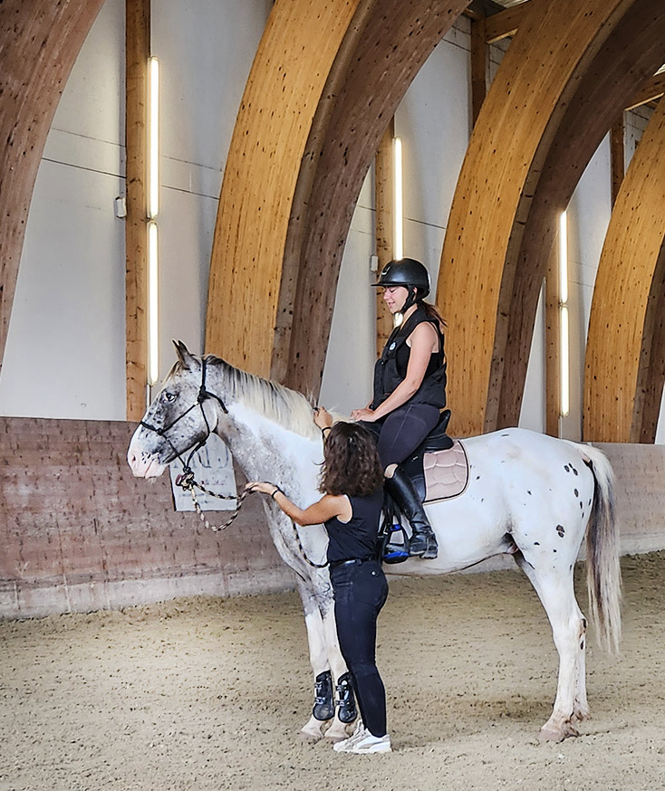 Travail du jeune cheval