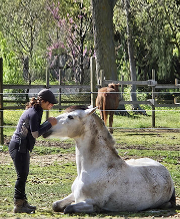 Confiance