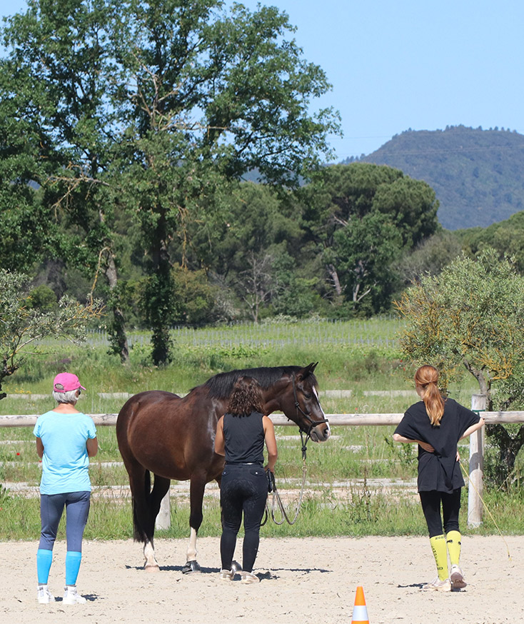 Cours et Stages